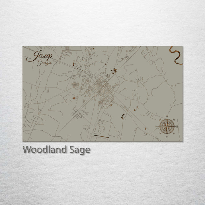 Jesup, Georgia Street Map