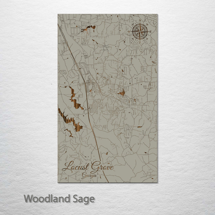 Locust Grove, Georgia Street Map