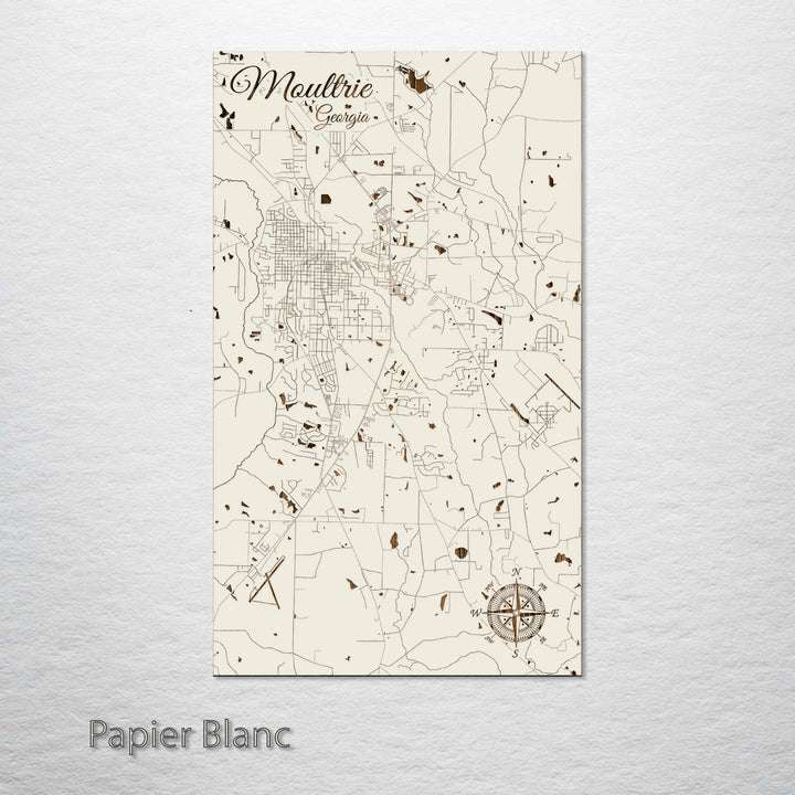 Moultrie, Georgia Street Map