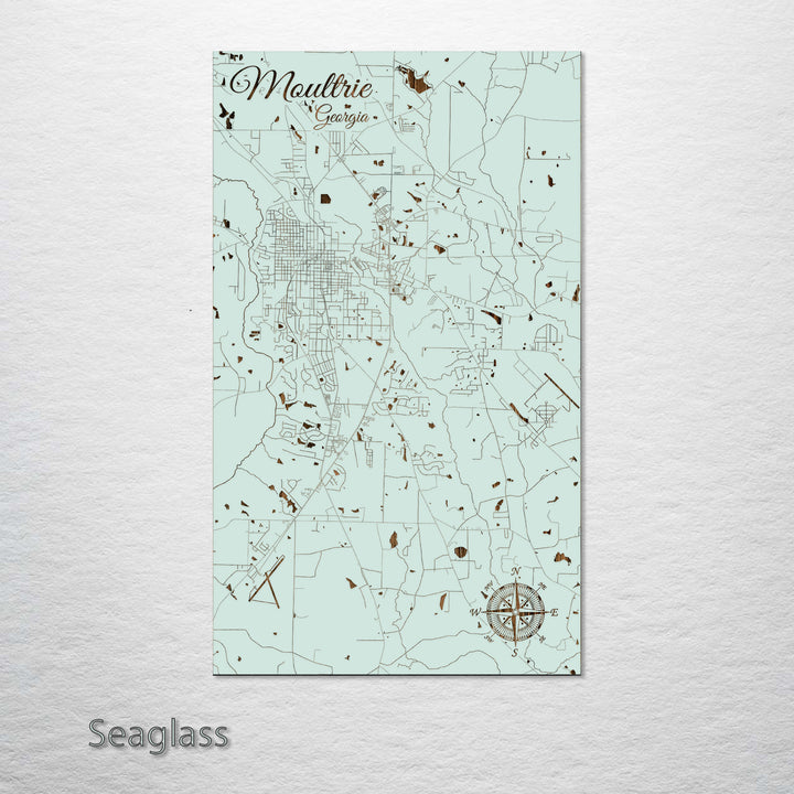 Moultrie, Georgia Street Map