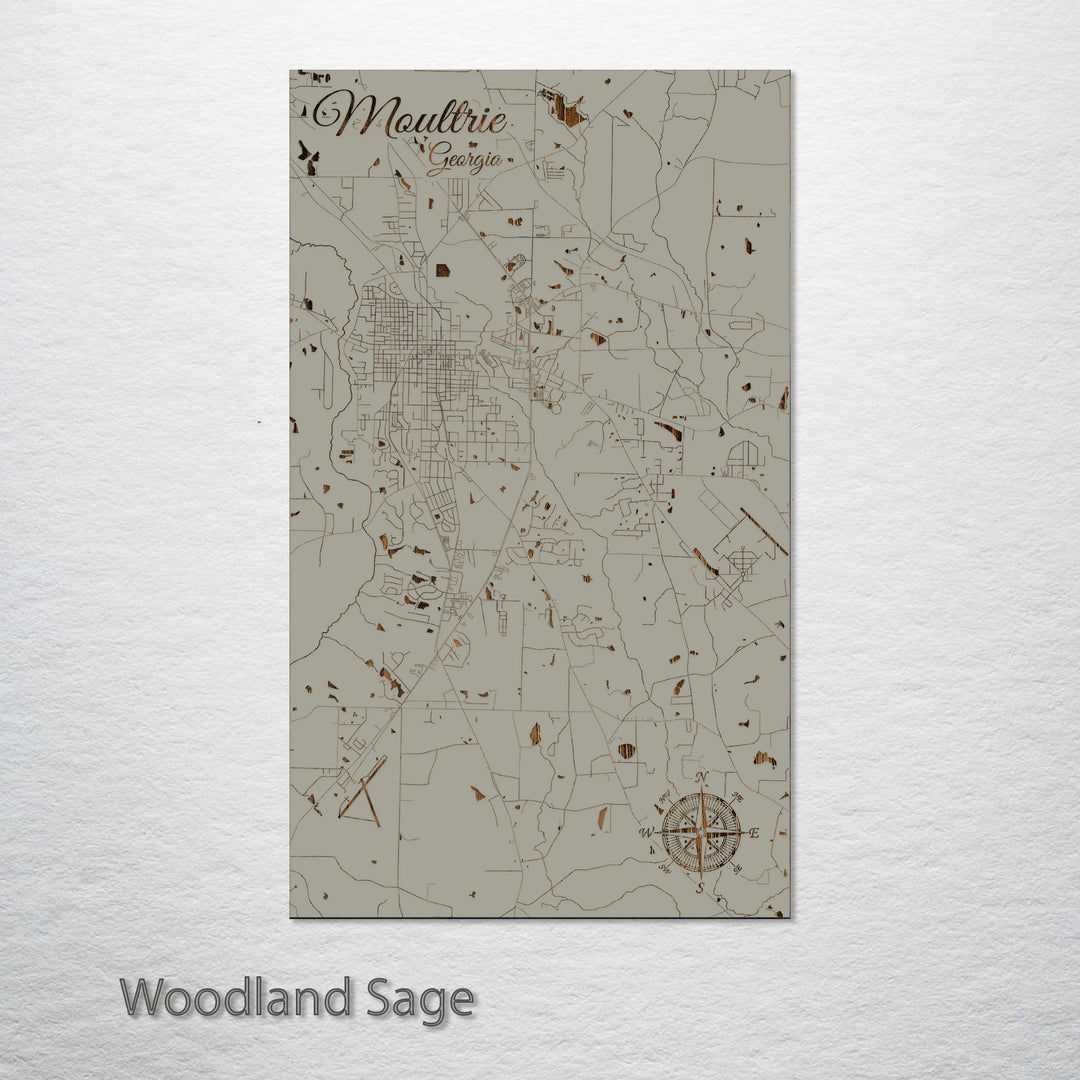 Moultrie, Georgia Street Map