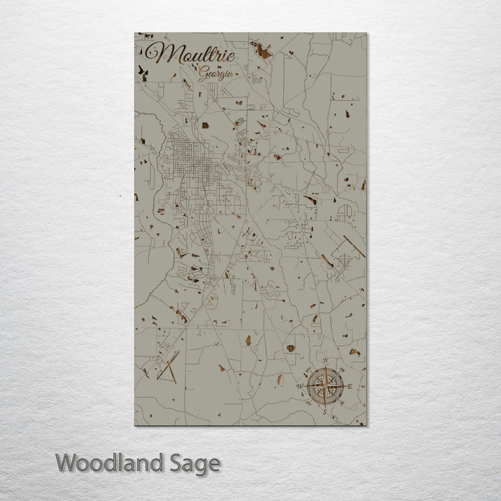 Moultrie, Georgia Street Map