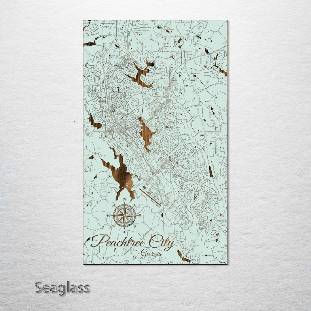 Peachtree City, Georgia Street Map