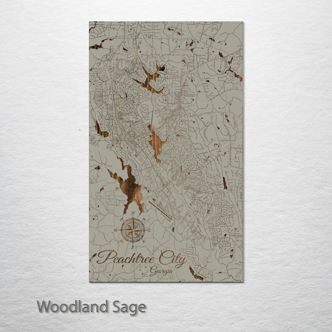 Peachtree City, Georgia Street Map