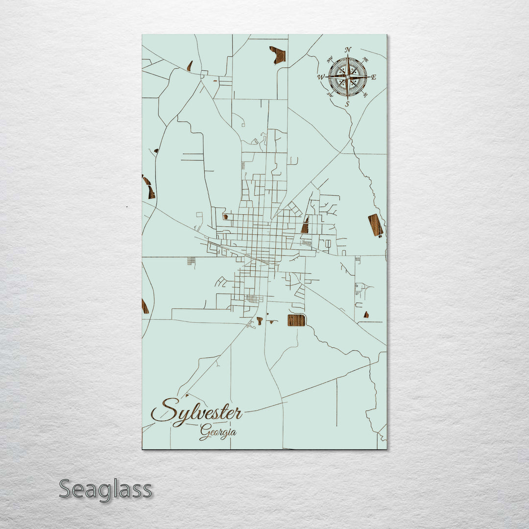 Sylvester, Georgia Street Map