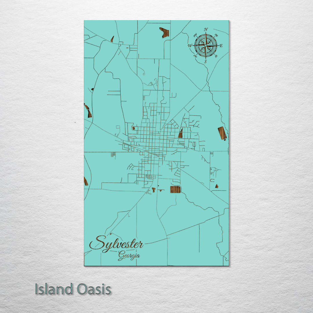 Sylvester, Georgia Street Map