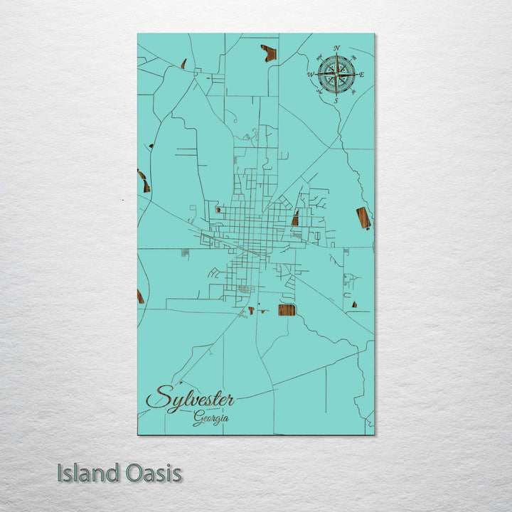 Sylvester, Georgia Street Map