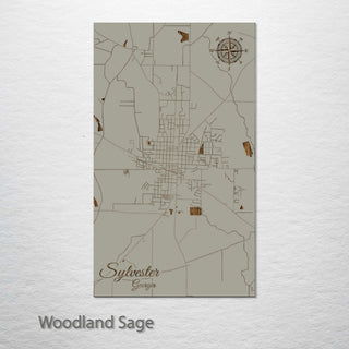 Sylvester, Georgia Street Map