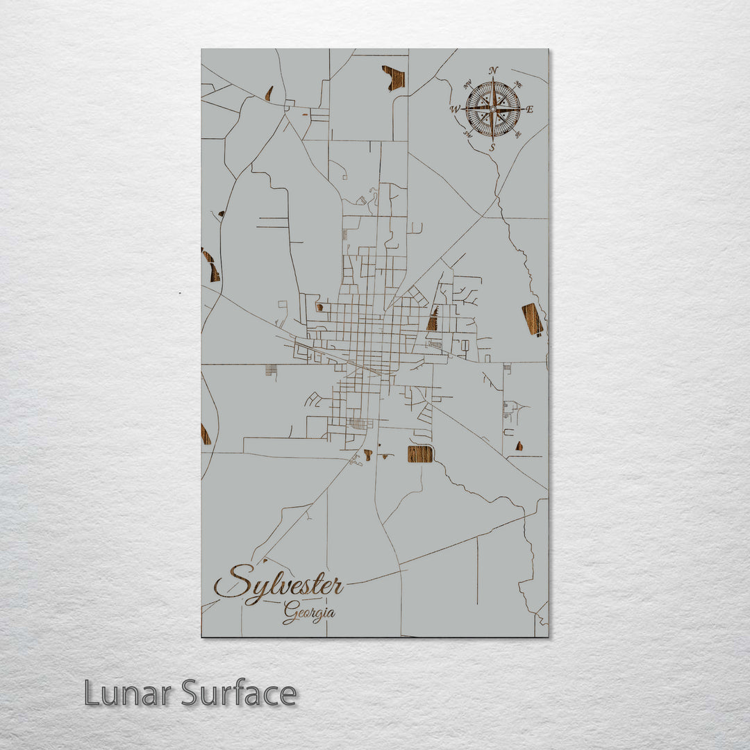 Sylvester, Georgia Street Map