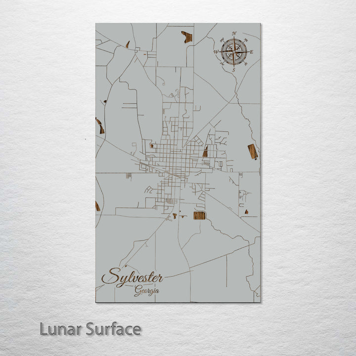 Sylvester, Georgia Street Map