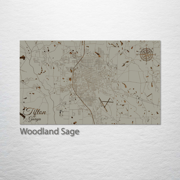 Tifton, Georgia Street Map