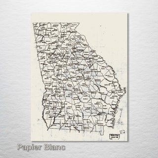 Georgia County Map 1893 - Fire & Pine