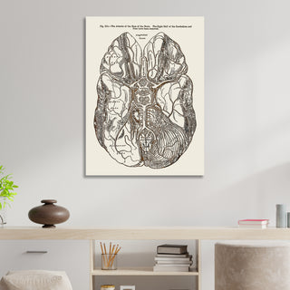 Gray's Anatomy Brain - Fire & Pine