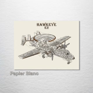 E2 Hawkeye US Patent - Fire & Pine