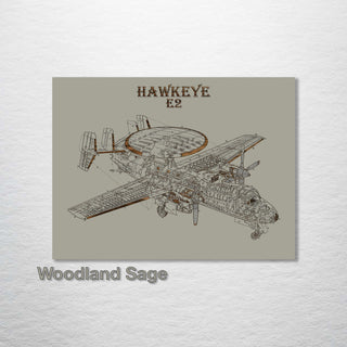 E2 Hawkeye US Patent - Fire & Pine