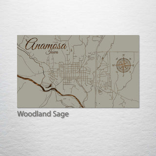 Anamosa, Iowa Street Map