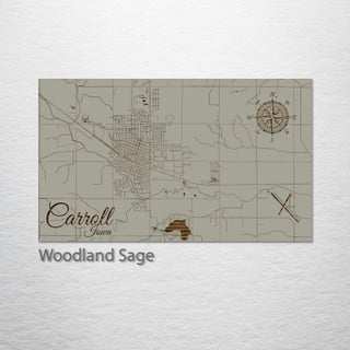 Carroll, Iowa Street Map