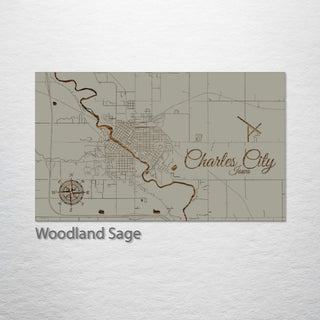 Charles City, Iowa Street Map