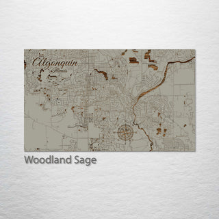 Algonquin, Illinois Street Map