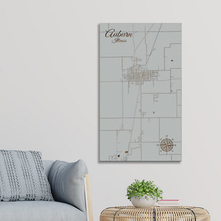 Auburn, Illinois Street Map