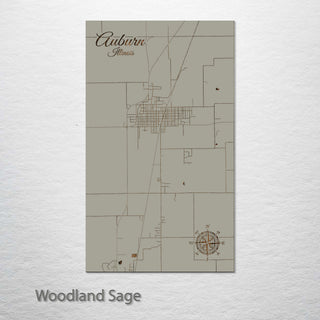 Auburn, Illinois Street Map