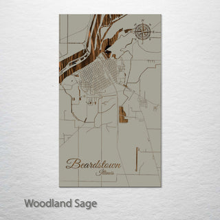 Beardstown, Illinois Street Map