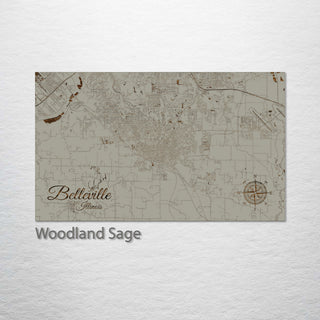 Belleville, Illinois Street Map