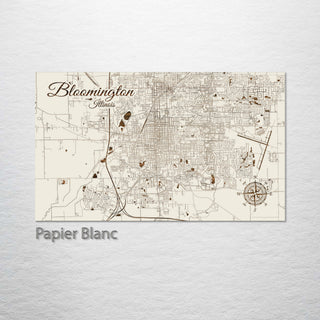 Bloomington, Illinois Street Map