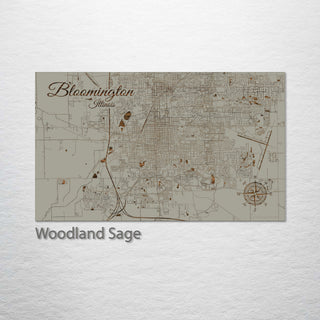 Bloomington, Illinois Street Map