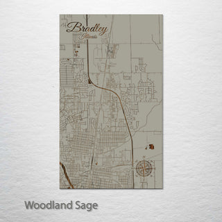 Bradley, Illinois Street Map