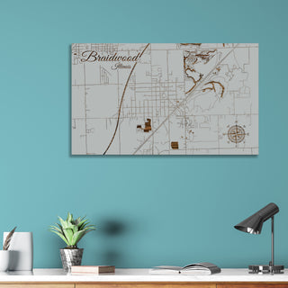 Braidwood, Illinois Street Map