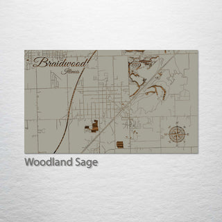 Braidwood, Illinois Street Map
