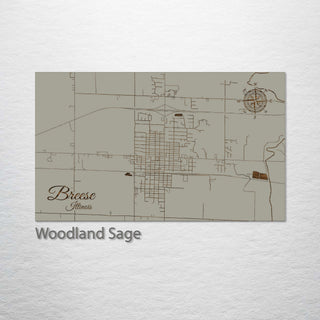 Breese, Illinois Street Map