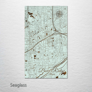 Burr Ridge, Illinois Street Map