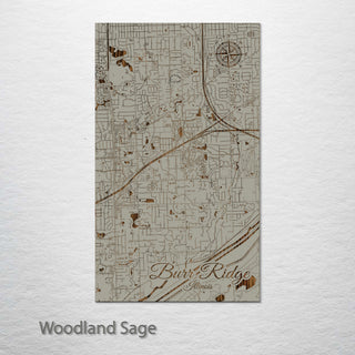 Burr Ridge, Illinois Street Map