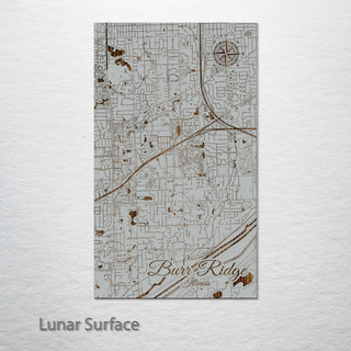 Burr Ridge, Illinois Street Map