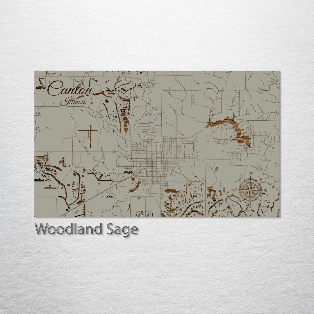 Canton, Illinois Street Map