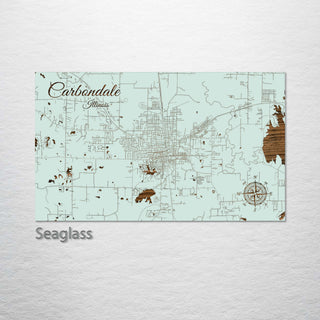 Carbondale, Illinois Street Map