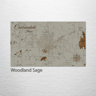 Carbondale, Illinois Street Map