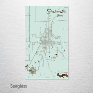 Carlinville, Illinois Street Map