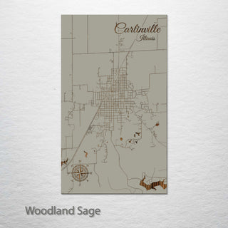Carlinville, Illinois Street Map