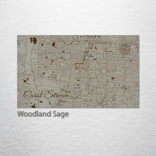 Carol Stream, Illinois Street Map