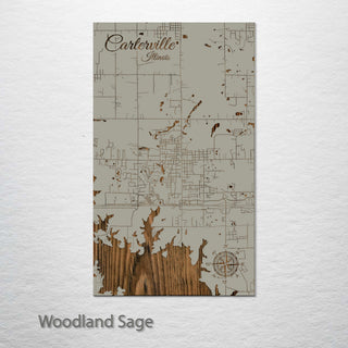Carterville, Illinois Street Map