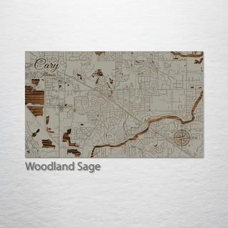 Cary, Illinois Street Map