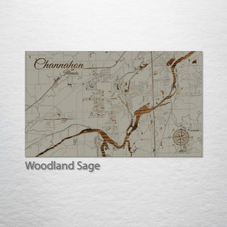 Channahon, Illinois Street Map