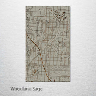 Chicago Ridge, Illinois Street Map
