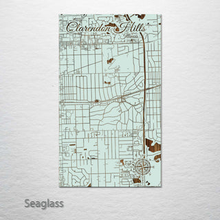 Clarendon Hills, Illinois Street Map