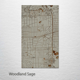 Clarendon Hills, Illinois Street Map