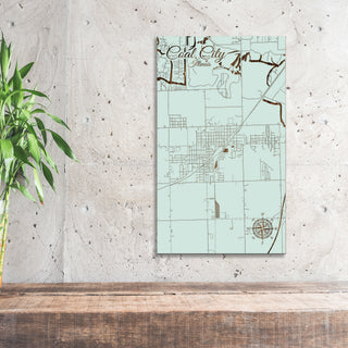 Coal City, Illinois Street Map