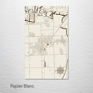 Coal City, Illinois Street Map